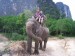 Slon, aneb terapie po Thajsku